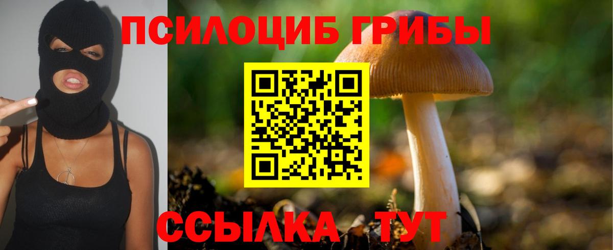 Псилоцибиновые грибы ЛСД  Псилоцибиновые грибы мицелий  Вход с VPN  наркотики  Урюпинск 